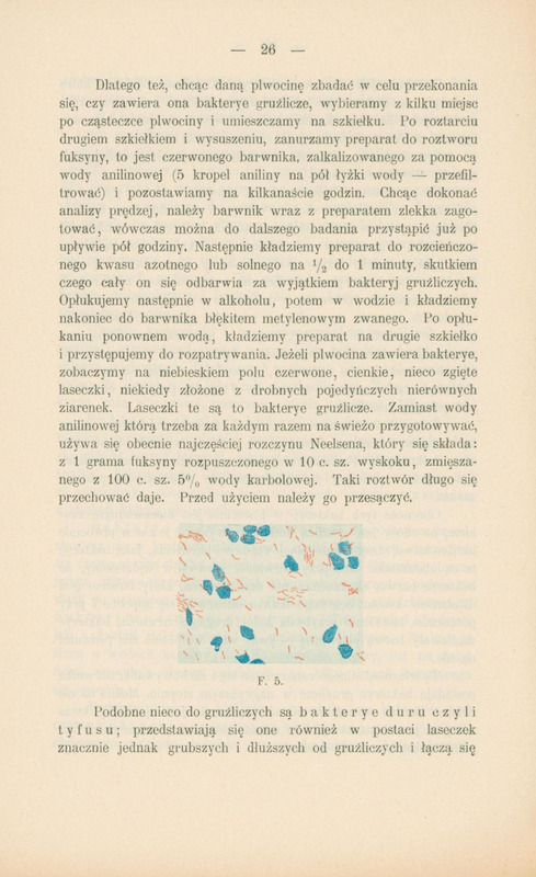 Strona z broszury z tekstem oraz kolorowa ilustracja przedstawiająca bakterie duru w kształcie pałeczek oraz kropek.