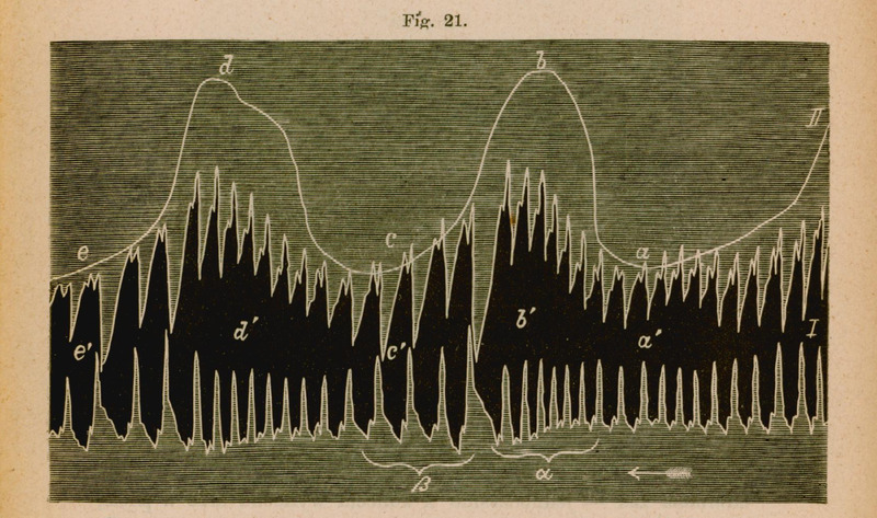 Ilustracja przedstawia fotogram pochodzący z eksperymentu przeprowadzonego na zwierzęciu, opisanego jako „4 doświadczenie” w publikacji autorstwa Napoleona Cybulskiego pod tytułem: „Nowy przyrząd do badania prędkości ruchu krwi (fotohaemotachometr) i jego zastosowanie” z 1886 roku. Na wykresie widoczne są dwa główne parametry:
1. Szybkość przepływu krwi
2. Krzywa oddychania
Oznaczenia na wykresie:
• a → b: faza wdechu
• b → c: faza wydechu
Wartości przepływu krwi podczas skurczu serca w różnych punktach:
• a': 3,087 mm³
• b': 4,350 mm³
• c': 2,785 mm³
• d': 4,835 mm³
Wysokość fotogramu została znormalizowana do wartości 1.