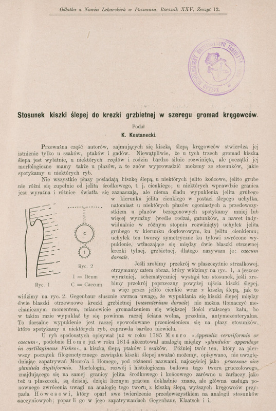 Ilustracja czarno-biała przedstawia fragment tekstu i tytuł dzieła prof. Kostaneckiego Stosunek kiszki ślepej do krezki grzbietnej w szeregu gromad kręgowców. Po środku tekstu z lewej strony znajdują się dwa rysunki. Pierwszy przedstawia nieregularny kształt od którego z prawej strony wychodzą prostopadłe przerywane linie, druga większy okrąg położony nad mniejszym, połączone przerywanymi liniami. U góry pieczęć Zakład Histologiczny Uniwersytetu Jagiellońskiego.