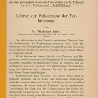 Skan zawiera pierwszą stronę artykułu „Beitrag zur Pathogenese der Verbrennung” opublikowaną w czasopiśmie Archiv für Dermatologie und Syphilis w 1893 r. Na górze strony napis: Aus dem pathologisch-chemischen Laboratorium des Dr. E. Freund der k.k. Krankenanstal: „Rudolf-Stiftung”. Poniżej tytuł dużą czcionką: „Beitrag zur Pathogenese der Verbrennung” oraz autor Dr. Wladislaw Reiss. Małą czcionką: Hospitant an der dermatologischen Klinik des Prof. Kaposi in Wien. 
Poniżej zaczyna się główny tekst artykułu o patogenezie urazów oparzeniowych.