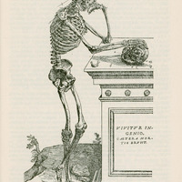 Ilustracja to XVI-wieczna grafika przedstawiająca ludzki szkielet pochylony nad pulpitem - rękę trzyma na leżącej na blacie czaszce.