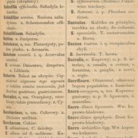 Czarno-białe strony ze Słownika Łacińsko-Polskiego Hasła na literę S.
