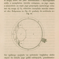 Rysunek anatomiczny oznaczony jako „Fig. 18” przedstawia przekrój poziomy przez gałkę oczną. Rysunek pokazuje szczegółową strukturę oka, oznaczoną literami (np. a, b, c, d…), ilustrując budowę anatomiczną narządu wzroku i położenie poszczególnych części oka. Tło strony jest kremowe.
