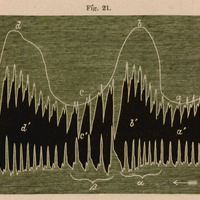 Ilustracja przedstawia fotogram pochodzący z eksperymentu przeprowadzonego na zwierzęciu, opisanego jako „4 doświadczenie” w publikacji autorstwa Napoleona Cybulskiego pod tytułem: „Nowy przyrząd do badania prędkości ruchu krwi (fotohaemotachometr) i jego zastosowanie” z 1886 roku. Na wykresie widoczne są dwa główne parametry:
1.	Szybkość przepływu krwi
2.	Krzywa oddychania
Oznaczenia na wykresie:
•	a → b: faza wdechu
•	b → c: faza wydechu
Wartości przepływu krwi podczas skurczu serca w różnych punktach:
•	a': 3,087 mm³
•	b': 4,350 mm³
•	c': 2,785 mm³
•	d': 4,835 mm³
Wysokość fotogramu została znormalizowana do wartości 1.
