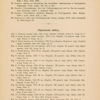 Skan strony tekstowej, bez ilustracji – zawiera sekcję objaśnień do tablicy histologicznej zatytułowaną „Objaśnienie tablicy”.
Tytuł rozdziału umieszczony jest na górze: „O rozwoju naskórka”, strona oznaczona numerem „23” w prawym górnym rogu, a w lewym górnym „[159]” (źródło wewnętrznej numeracji). Objaśnienie tablicy:
Poniżej wymieniono opis 15 ilustracji (Fig. 1–15), przedstawiających histologiczne przekroje naskórka w kolejnych miesiącach życia płodowego. 
Przykładowe szczegóły:
•	Fig. 1 – pierwszy miesiąc ciąży; płód długości 4 mm; preparat przekrojowy Seibert V, Comp. Oc. 4.
•	Fig. 6 i 7 – czwarty miesiąc; płód około 17 cm, 135 g, fragment z dłoni.
•	Fig. 10 i 11 – szósty miesiąc; płód 28 cm, 270 g, fragmenty z głowy i przedramienia.
•	Fig. 14 – ósmy miesiąc; płód 42 cm, 1300 g, skóra z ręki.
•	Fig. 15 – dziewiąty miesiąc, dziecko donoszone; fragment pectoralis (klatki piersiowej), Seibert III, okul. 0.

Opis łączy metodykę histologiczną z danymi anatomiczno embriologicznymi.